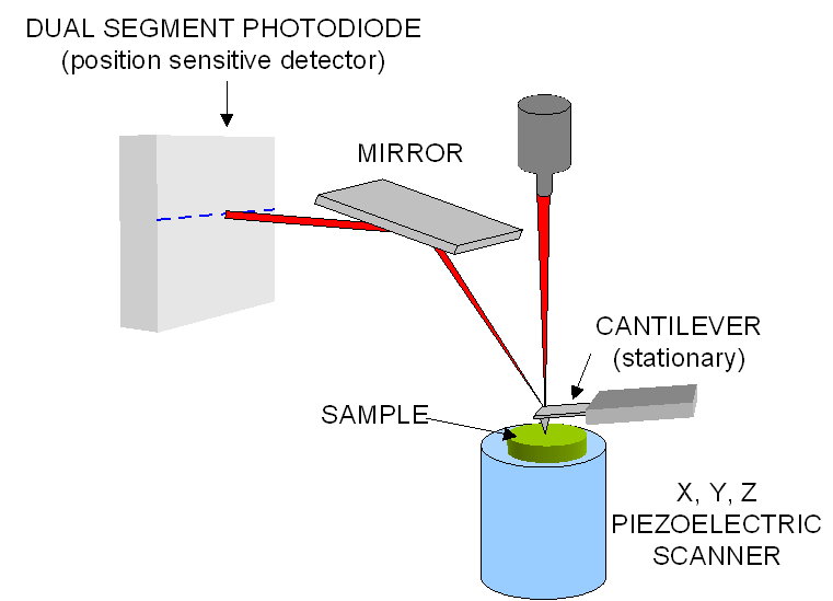 Atomic Force Microscopy Schematic